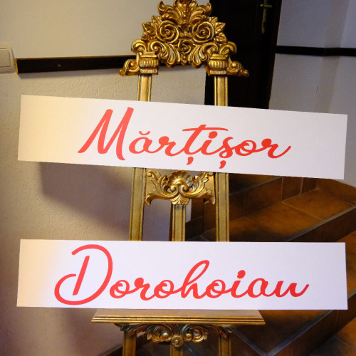 Festivalul Național de Muzică Ușoară Românească "Mărțișor Dorohoian" atrage talente