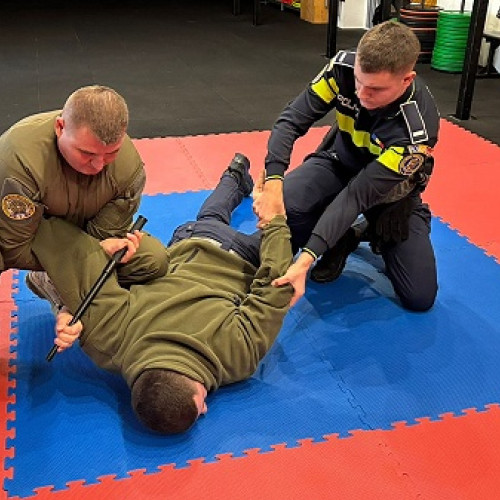 Pregătire profesională pentru agenții de poliție la Satu Mare