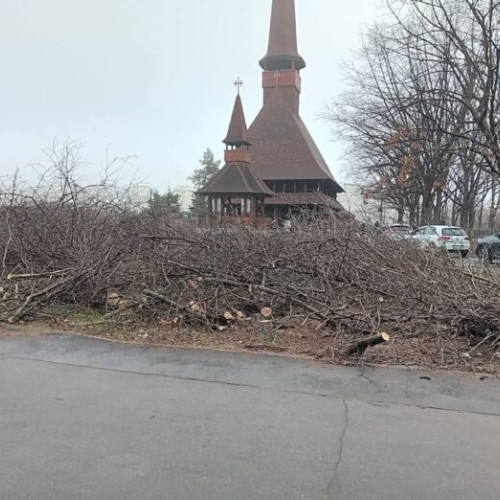 Diana Buzoianu, deputată USR, solicită măsuri concrete pentru combaterea violenței și a tăierilor ilegale din Parcul IOR