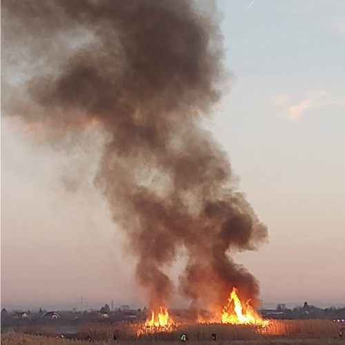 Incendiu puternic de vegetație la Târgoviște