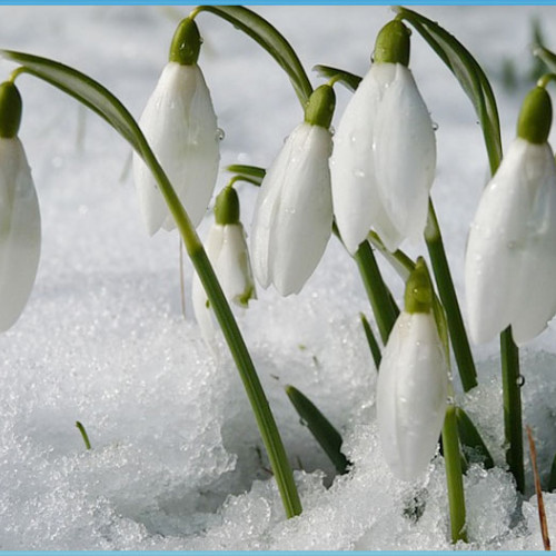 Meteorologii anunță vreme caldă și precipitații deficitare în următoarele săptămâni