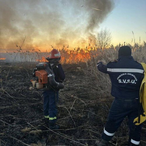 Incendiu de vegetație la Târgoviște: Pompierii intervin pentru stingerea flăcărilor