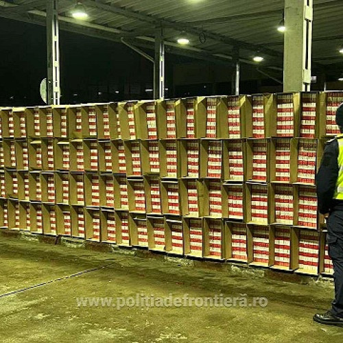 Captură de țigări la frontiera României