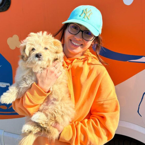 Protecția animalelor CJ Ilfov organizează sterilizări gratuite în Berceni