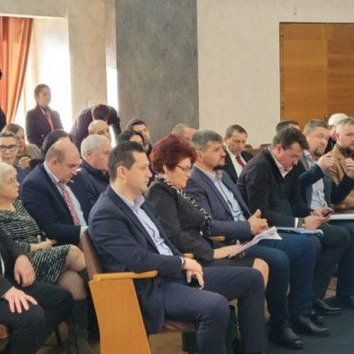 Consiliul Județean Botoșani analizează posibilitatea comasării instituțiilor de cultură