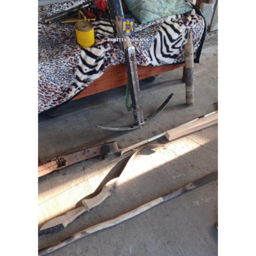 Anchetatorii din Neamț au descoperit arme ilegale la Costișa