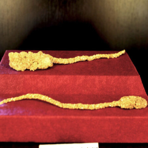 Situația alarmantă a Muzeului Aurului din Brad