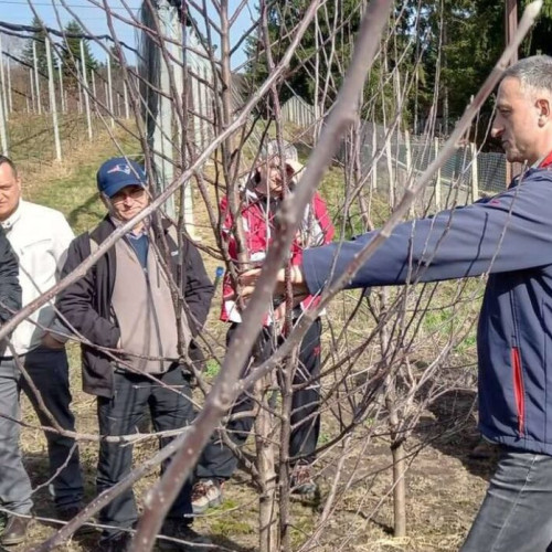 Curs de formare la Stațiunea de Cercetare-Dezvoltare pentru Pomicultură Bistrița