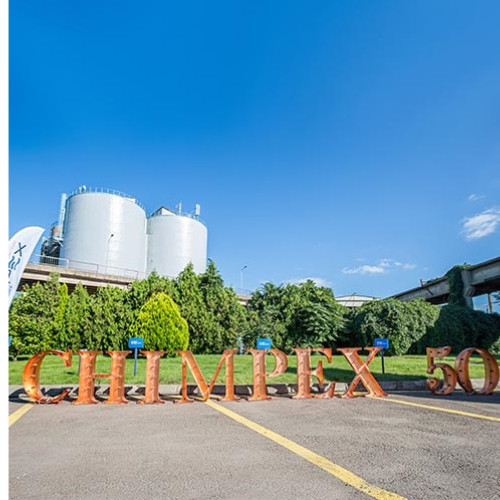 Chimpex SA primește undă verde pentru extinderea infrastructurii portuare în Constanța