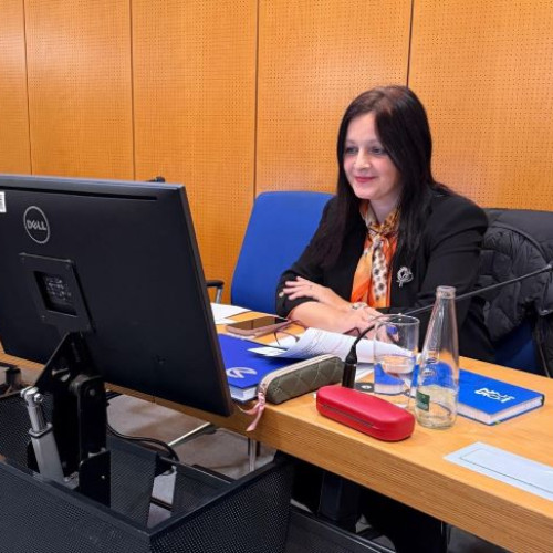 Orașul Nürnberg își alege noul Consiliu de Integrare, cu o româncă în conducere