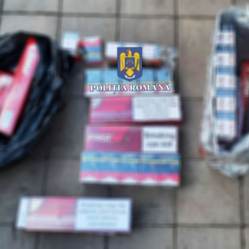 Percheziții în Constanța: Aproape 11.000 de țigarete confiscate