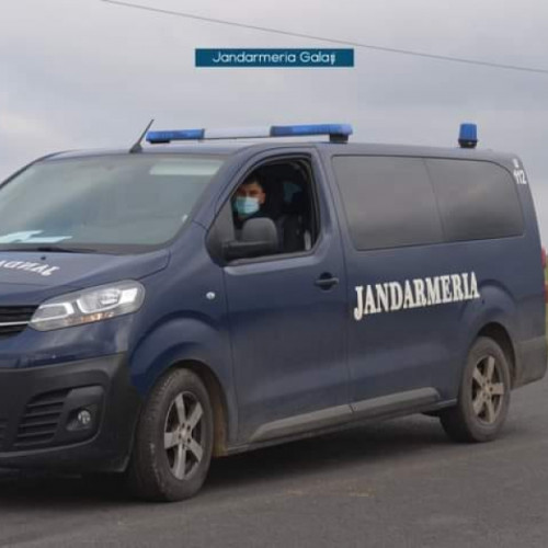 Alertă în apropierea municipiului Galați, după apariția unui pui de urs