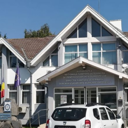 Controale ANSVSA la o unitate de procesare a cărnii din Țara Făgărașului