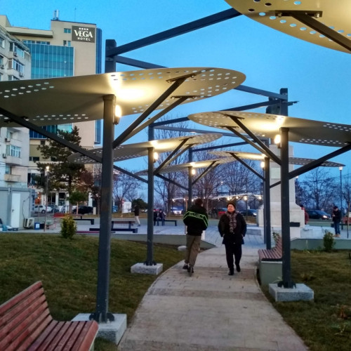 Copacii din Parcul I. C. Brătianu din Galați atrag atenția prin designul unic