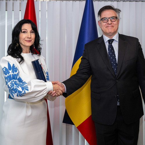 Ildiz Ibram: Artistă plastică, curator și educator, promovează dialogul cultural romano-turc