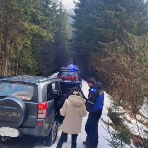 Patru turiști blocați pe un drum înghețat, salvați de jandarmii montani