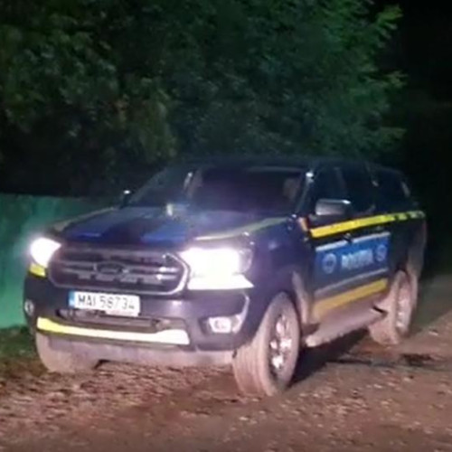 Câine găsit mort în extravilanul localității Coplean