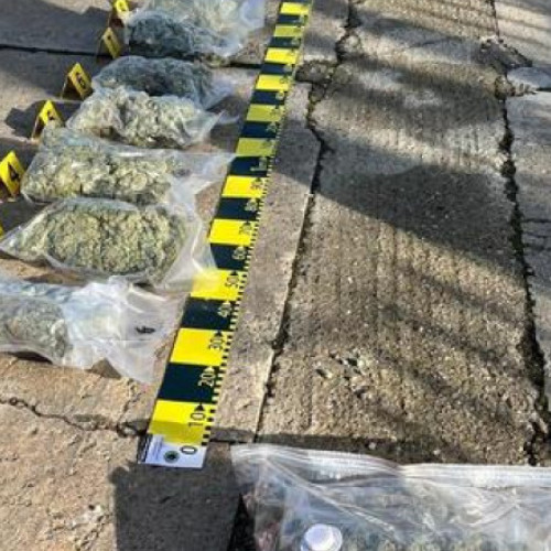 Bărbat prins în flagrant la Arad, cu pistol și canabis