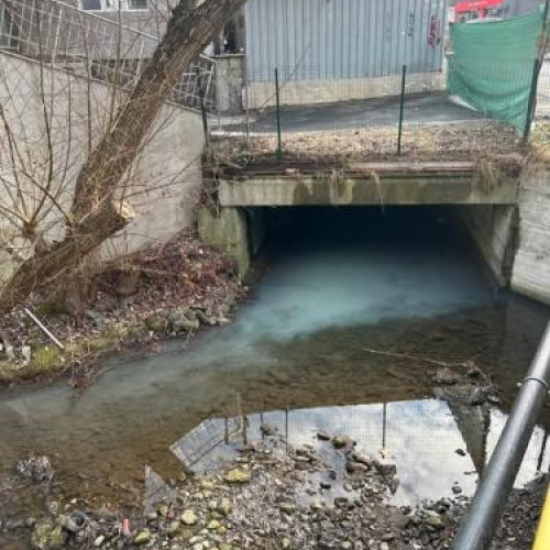 Poluarea râurilor din Cluj-Napoca: Activistii trag un semnal de alarmă