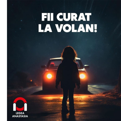 Legea Anastasia: Vlad Pascu condamnat la zece ani de închisoare pentru un accident mortal