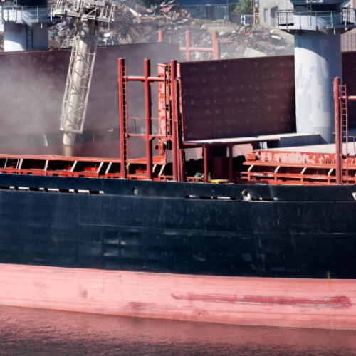 Controlul statului asupra Rodnie Polya LLC, un mare exportator de cereale din Rusia