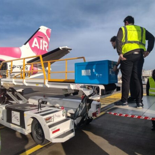 Piese de patrimoniu returnate în România după o expoziție de succes în Olanda