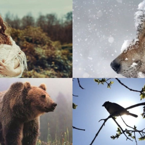 Februarie - Luna Îndrăgostiților și a Tradițiilor Populare