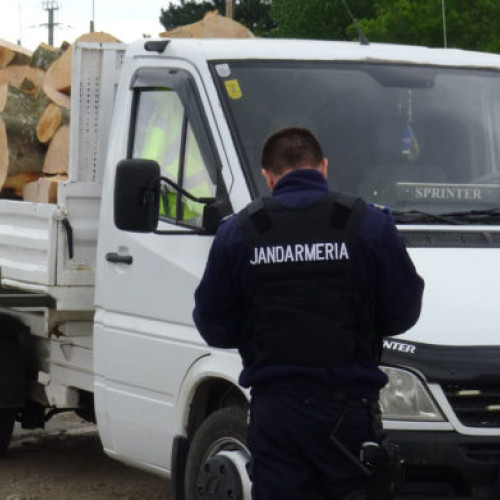 Transport ilegal de lemn descoperit de polițiști după un accident