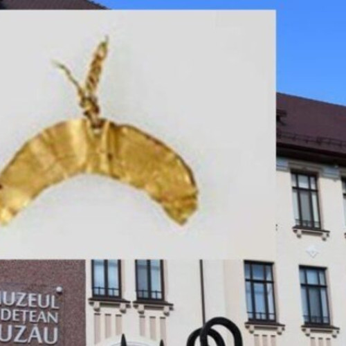 Artefacte furate de la Muzeul Drents din Olanda, recuperate parțial în România