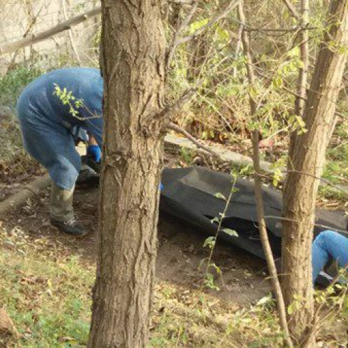 Descoperire tragică în pădurea de la marginea comunei Padina