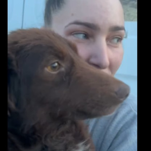 O tânără a parcurs 1500 km pentru a salva o cățelușă rănită