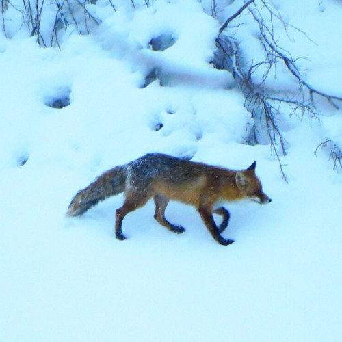 Ziua de 2 februarie: între tradiții și superstiții