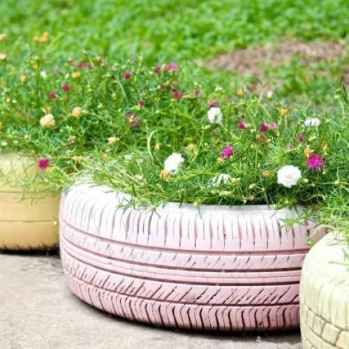 Ghivece improvizate pe trotuarul din cartierul Bulgaria, Cluj: Întrebări adresate autorităților