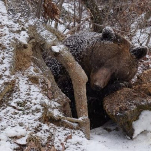 Stretenia - ziua în care iarna și primăvara se întâlnesc