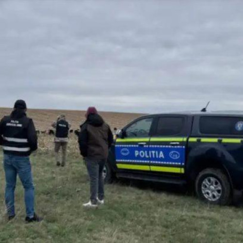 Ancheta asupra uciderii câinilor în comuna Corlățeni se intensifică