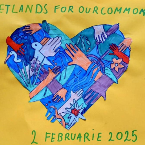 Micii ecologiști din Beiuș și Oradea sărbătoresc Ziua Mondială a Zonelor Umede