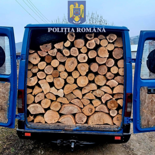Șofer amendat pentru transport ilegal de lemn