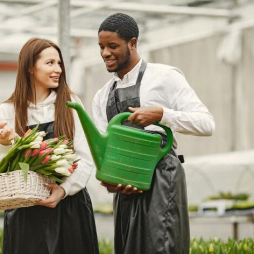 Olanda oferă oportunități sezoniere de muncă pentru români