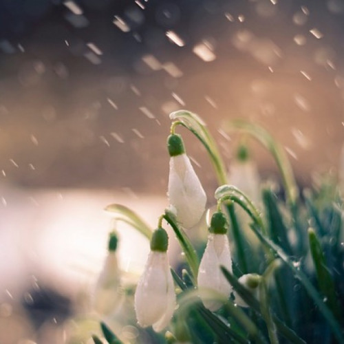 Precipitații așteptate în Moldova în prima jumătate a lunii februarie