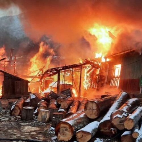 Incendiu în satul Lepșa, echipajele de pompieri intervin rapid