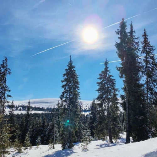 Vremea în Transilvania și în țară în următoarele două săptămâni