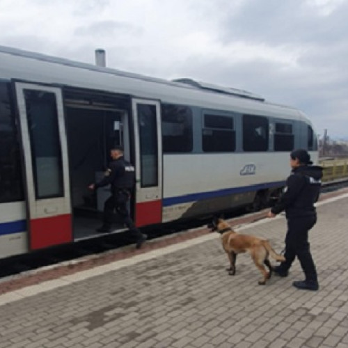 Acțiune a poliției pentru menținerea ordinii și prevenirea consumului de droguri