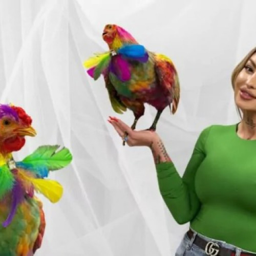 Cea mai recentă inovație din Craiova: un cocos vopsit artistic scos la licitație pentru 5.000 de euro