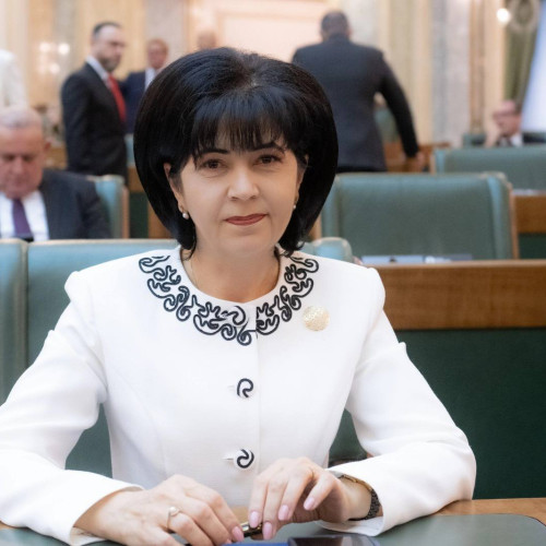 Doina Federovici, realesă secretar al Senatului României