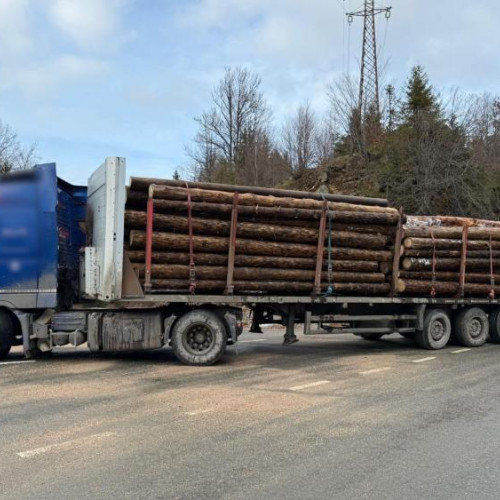 Poliția clujeană, acțiune de amploare împotriva transporturilor ilegale de lemne