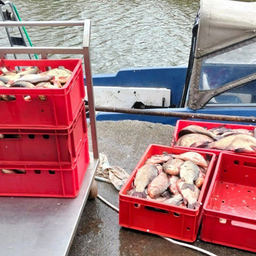 Descoperire importantă în lupta împotriva braconajului piscicol