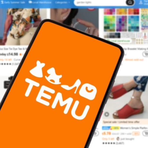 Uniunea Europeană impune măsuri stricte pentru livrările din afara blocului comunitar