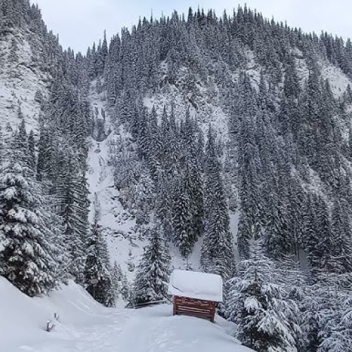 Cascada Cailor, o bijuterie naturală în Maramureș