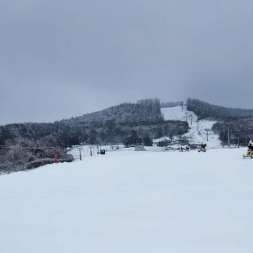 Partia Cocos din Bistrita este pregatita pentru schi