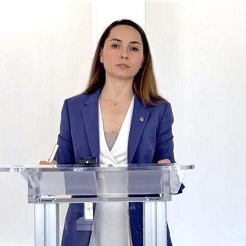 Parlamentul a stabilit componența comisiilor pentru controlul SRI și SIE